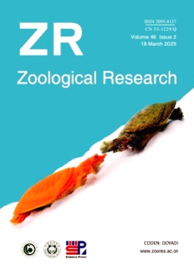 Zoological Research杂志